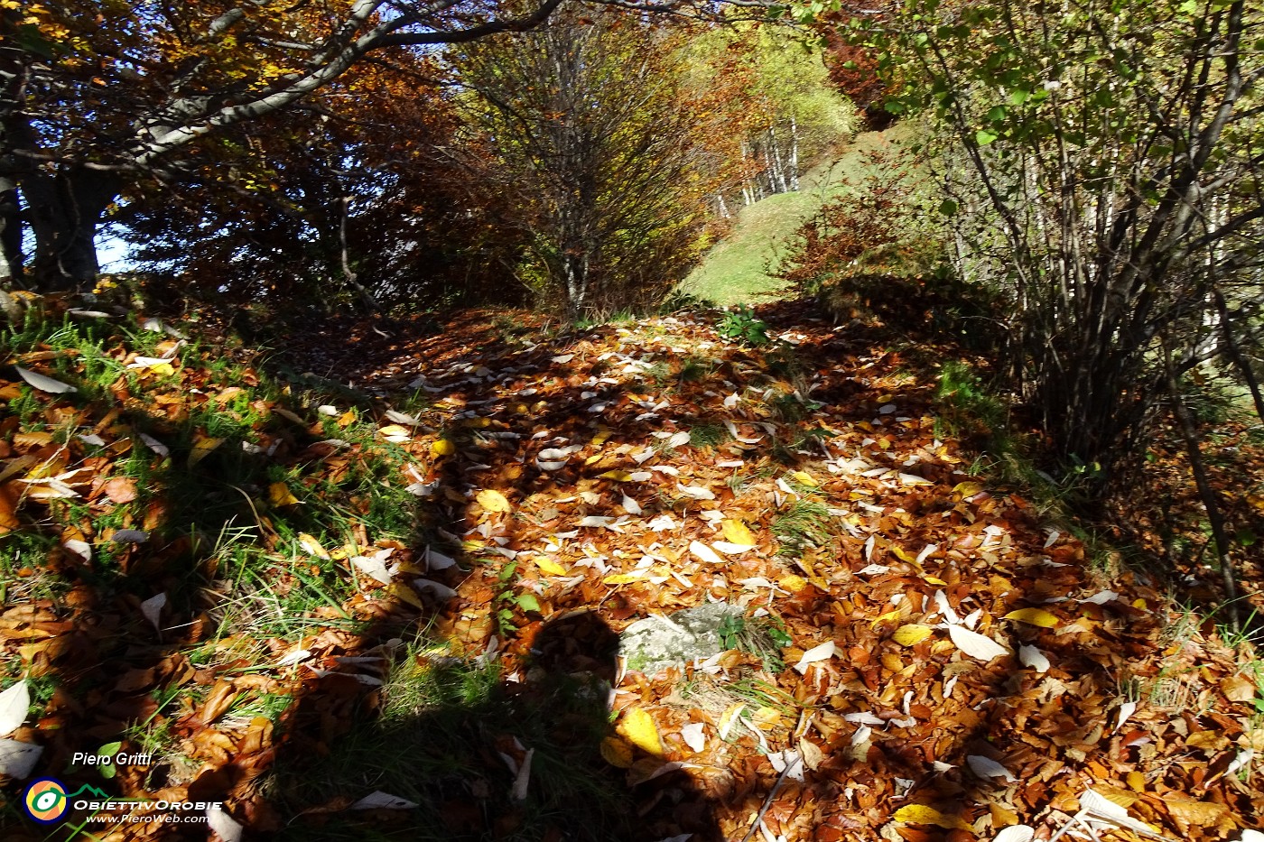 19 Sentiero qui tapezzato d'autunno.JPG